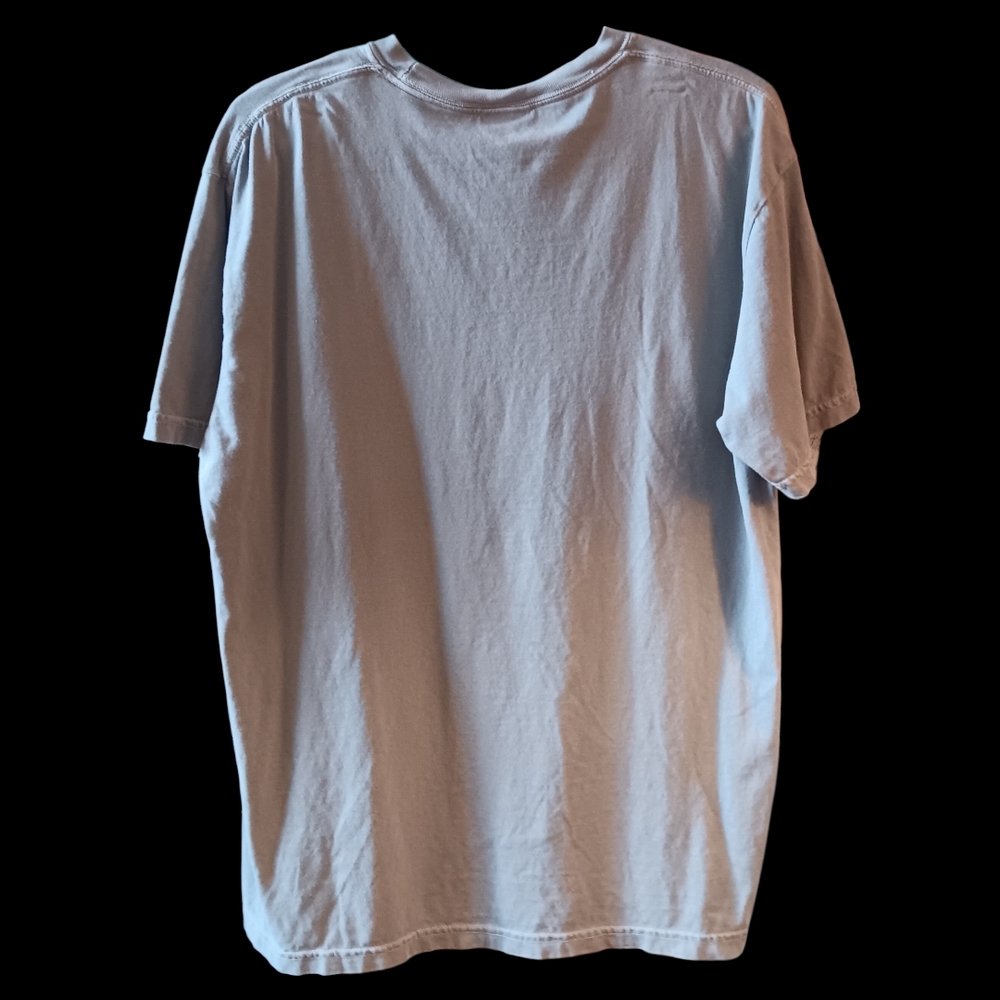 War Eagle! Auburn University Tigers Tee - Picture 2 of 4